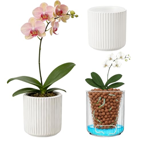 TineDew 5 inch self Watering Ceramic pots for Indoor Plants