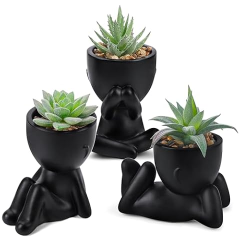 Der Rose 3 Pack Black Human Pot Fake Succulents Plants for Bathroom Decor — $16.99 (11% off)