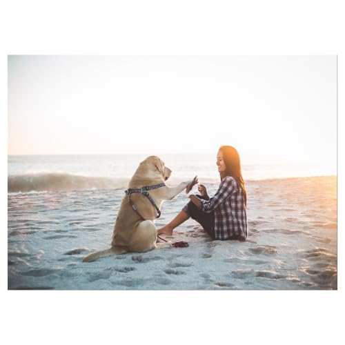Impression chien et personne plage Wallbuddy 30x40 art mural