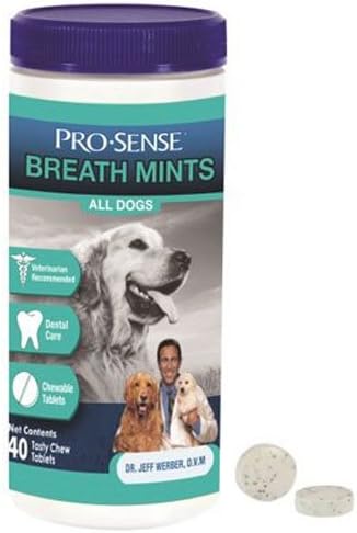Pro-Sense Chewable Breath Tabs, 40-Count
