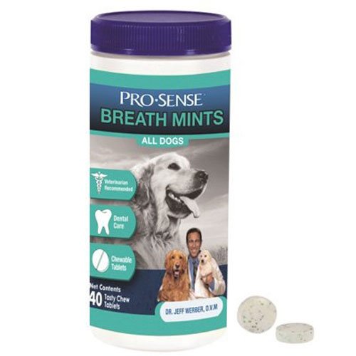Pro-Sense Chewable Breath Tabs, 40-Count