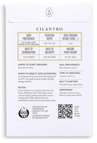 Sereniseed Certified Organic Cilantro Seeds – Non GMO, Heirloom – Seed Starting Video – Seeds for Indoor and Outdoor Planting (Coriander sativum) - Image 2