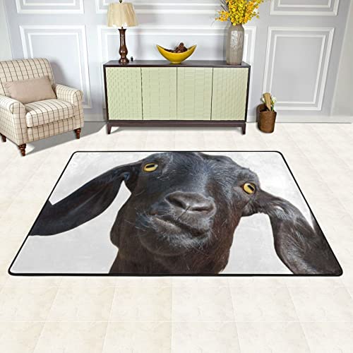 Tapis chèvre pour chambre et salon créant une ambiance cocooning