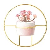 APLICACIÓN: Maceta Es muy adecuado para plantas de interior, suculentas, plantas de aire, cactus y hierbas. Se puede utilizar para cultivar flores, decorar habitaciones, jardines, balcones u oficinas.
