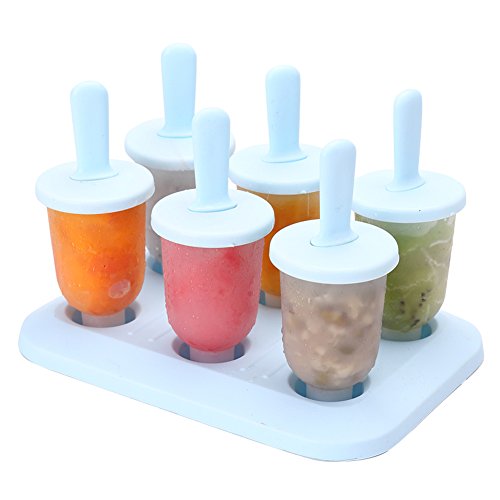 CHICHIC Set of 6 Popsicle Molds Ice Pop Makers Ice Pop Molds Ice