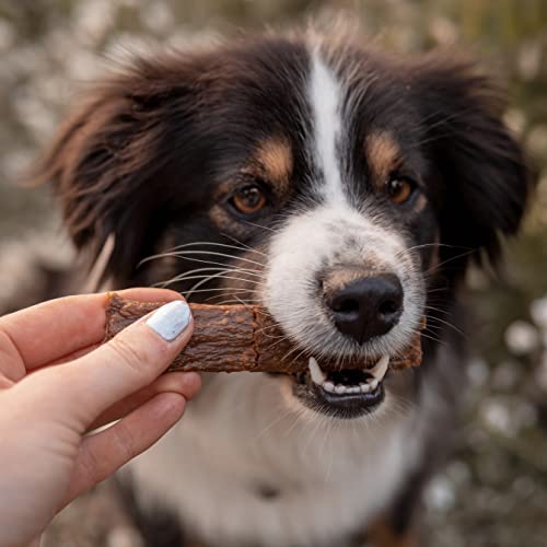 Bellfor Fleischstreifen Wildschwein Gesunder Hundesnack - 100 g. Wildschweinfleisch aus regionaler Herkunft – getreidefreier Kauartikel für Hunde, ganz ohne Zusatzstoffe.