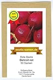 Rote Beete - Bete - Beta vulgaris subsp. vulgaris...