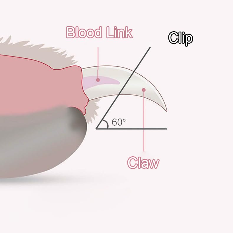 zalati Cat Nail Clipper Small Dog Nail Trimmer with Dual Mode LED Light for Pets Nail Health Care - Image 3