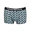 Arctic Geometric Print