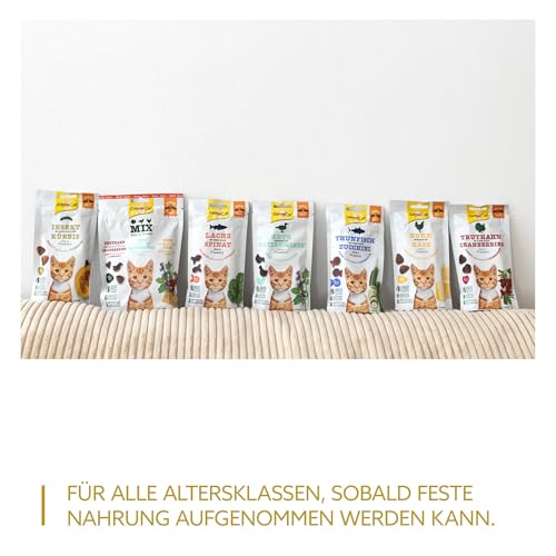 GimCat Crunchy Snacks Insekt mit Kürbis - Knuspriges und proteinreiches Katzenleckerli - 1 Beutel (1 x 50 g)