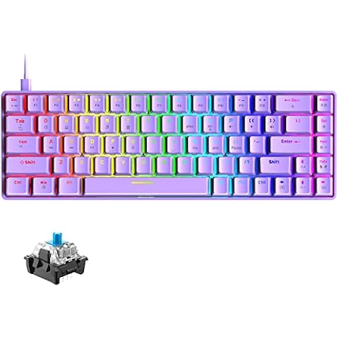 60% Mechanical Keyboard Mini Compact 68 Keys USB C Wired RGB Backlit Keyboard 18 Chroma Rainbow Backlight Portable Full Keys Anti-ghosting Compatible With PS4,Xbox,PC,Laptop,MAC - Purple/Blue Switch Cover
