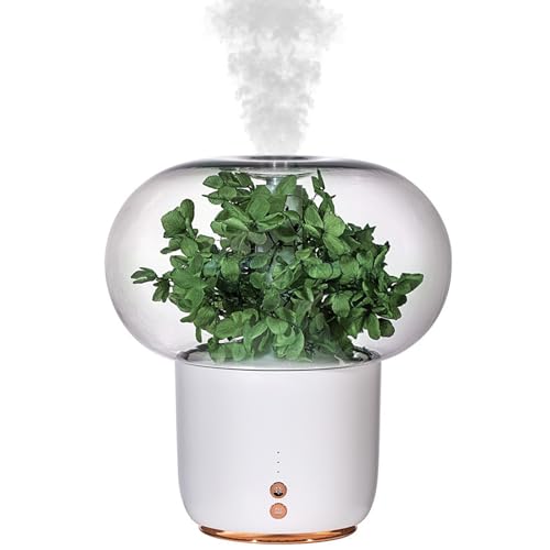 Difusor Aromático Eléctrico con Luz Nocturna y Temporizador