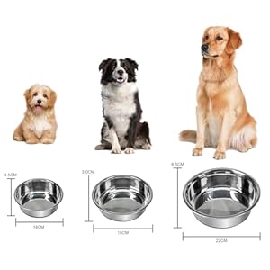 Grehge Steel Anti-Slip Dog Bowls,Non-Slip Stainless Steel Pet Bowl with Foot Mat – Perfect for Mess-Free Mealtime,Quiet Pet Bowls for Cats and Dogs, Dry and Wet Foods,5.5in Single Pack