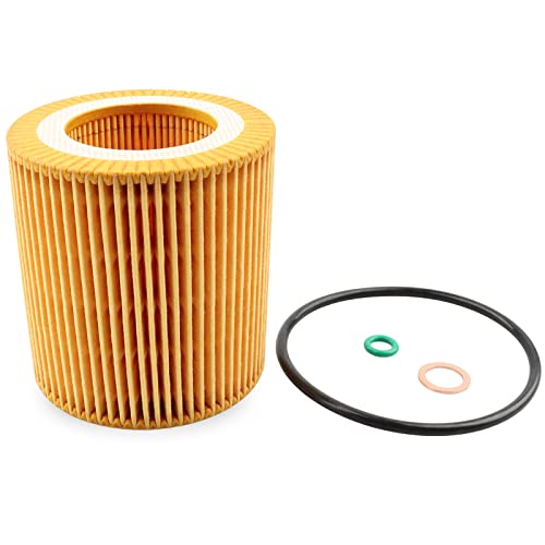 Oil Filter 11427953129 BMW N52 N54 N55-128i 135i 320i 325i