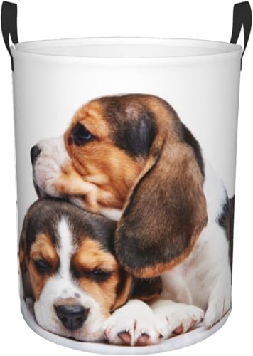 h[oXPbge 󂩂 h 킢 ybg r[O̎q  [ 󕨓 [{bNX ܂ e G [obO QA󎺁A oX[̂߂̒E߂ ϋv t h[ M