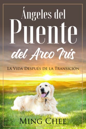 Ángeles del Puente del Arco Iris: La Vida Después de la Transición