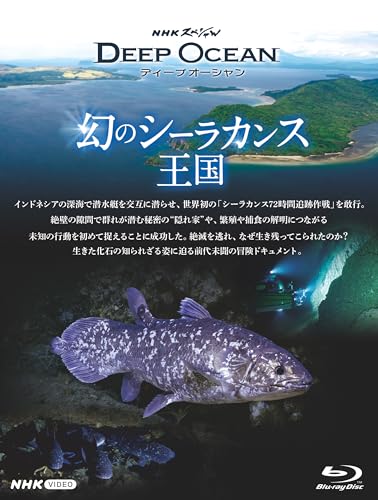 【Amazon.co.jp限定】NHKスペシャル ディープオーシャン 幻のシーラカンス王国 （オリジナル特典：ポストカード付） [Blu-ray]のサムネイル
