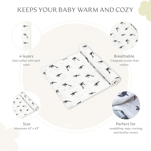 Image of Muslin Baby Swaddle - Breathable Receiving Blankets for Newborn Baby, 70% Viscose derived from Bamboo, 30% Spandex, Imported