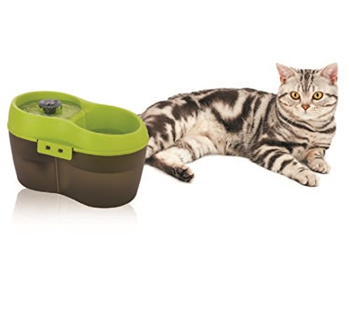 Cat H2O Filtered Cat Water Fountain 67 Fl. Oz/2.1 Quart With Filter & Dental Care Tablet, Lime Green/Translucent Black #TOP4