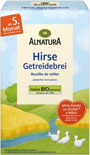 Alnatura Bio Getreidebrei Hirse, 250 g