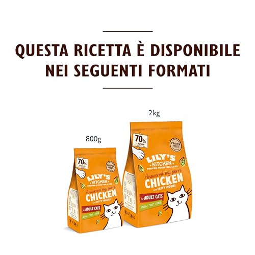 Lily's Kitchen Mit natürlichen Zutaten hergestellt Trockenfutter für ausgewachsene Hunde Katzenfutter Ofenhähnchen mit Gemüse Getreidefreie… – Ansicht 4