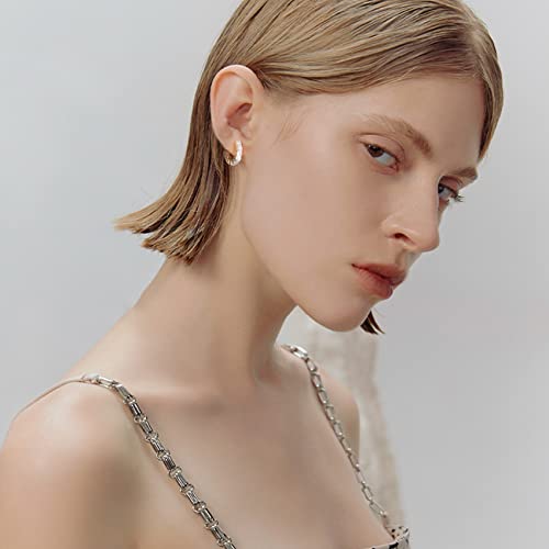 Hottie Honey Moissanite Hoop Earrings, Df Color Vvs1 Clarity Diamond Earrings Created At Lab With 925 Sterling Silver Plated 18K White Gold For Women Girls And Men #TOP5