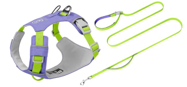 No Pull Dog Harness and Leash Set, Reflective Dog Harness, Purple XS
