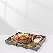 AGIOTA Coffee Table Trays for Living Room Serving Tray with Handles, Modern Large Tray for Ottoman Coffee Table