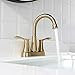PARLOS Swivel Spout 2-Handle Bathroom Faucet Brushed Gold with Pop-up Drain & Supply Lines, Demeter 1362708