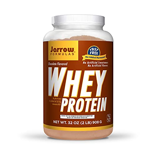 Best Whey Protein Powder Pros, Cons and Quality Product Reviews • Wellness Captain