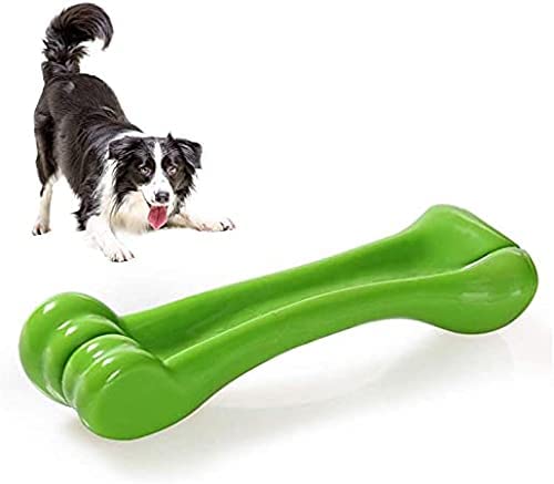 RvPaws Interactive Non-Toxic Natural Rubber Bone Dental Chew Biting Teething Dog & Puppies Toy (Colour May Vary)