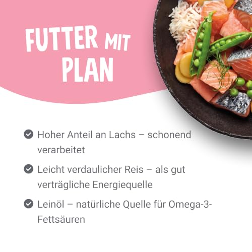 Pets Deli Classic Nassfutter für Hunde mit Lachs, 6x190g