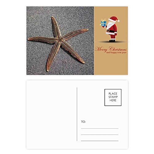 Cartes postales Père Noël étoiles de mer gris lot de 20 correspondance