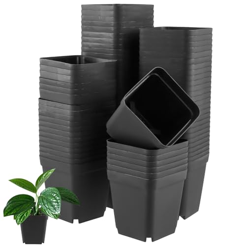 UNGFEI 80 PCS Square Plant Pots, 7cm Plastic Square Plant Nursery Pots for Succulent, Vegetable, Plant, Seedlings, Transplanting