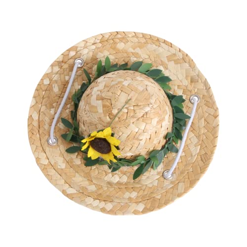 Hohopeti ybgpXg[nbg ߉\ȌLpXq Ă̎ʐ^Be₨U _炩Kȑ