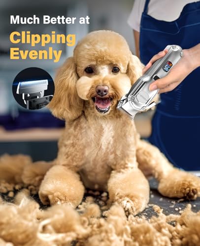 oneisall 3 in 1 Hundeschermaschine dickes/dichtes Fell, Profi Hochleistungs-Hundehaarschneidemaschine Set, Leise Schermaschine für kleine und große Hunde, Katzen und Haustiere (Silber 3in1)