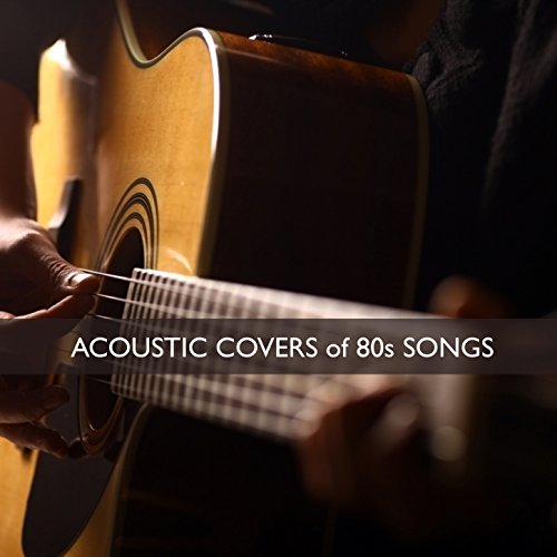 Highly Rated 20 Best Acoustic Covers According To Experts BNB