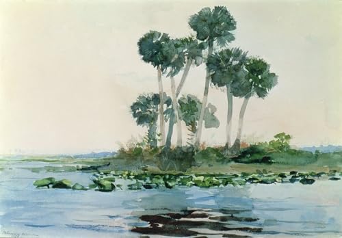 Tableaux peinture sur toile St John's River par Winslow Homer décoration de chambre 60x90cm