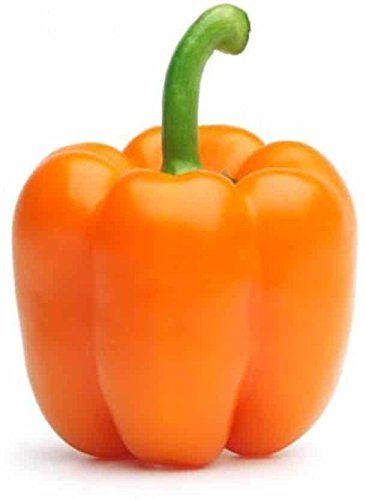 E-PlantCapsicum Seeds, 1 Packet (20 per packet)