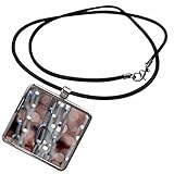 3dRose Macro Photo of disc Golf Basket Chains with a Soft. - Necklace with Pendant (ncl_350876_1)