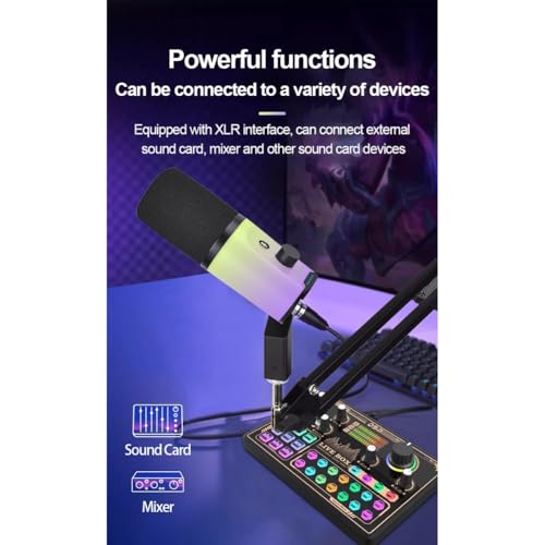 Microphone dynamique double mode pour éliminer les bruits en enregistrement et live - 6