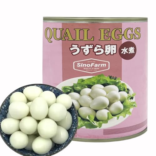 ̗ ʋl Y 50-55 퉷ۑ T_ ϕ ٓɕ֗ (430gx4_)