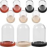 Petit cloche en verre – ce cloche en verre avec socle en bois est un ornement parfait pour votre maison ou votre bureau, apportant une touche d'originalité. vitrine à fleurs