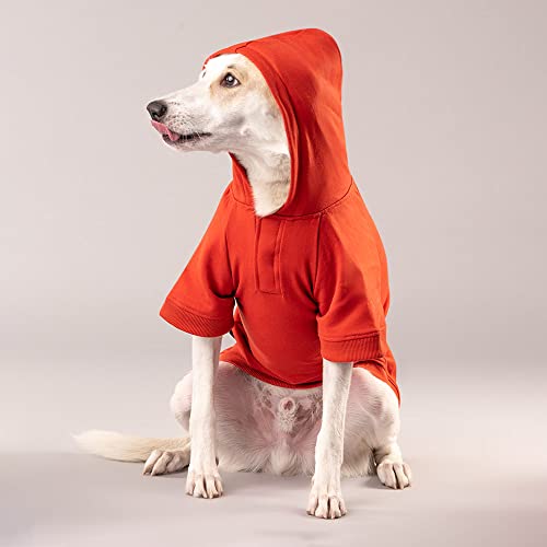 Image of Heads Up For Tails cotton HUFT Sweatshirt for Dogs - Rust, l, 1 count