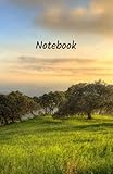 Notebook: Ruled - 5.5 x 8.5 (13.97 x 21.59 cm) - 100 Pages