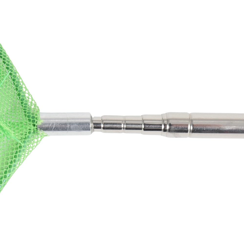 Amazon | 魚捕り網 ファンキーズ 4号 さかなグリーン | 生態