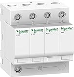 Schneider