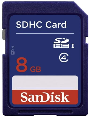 Dane Elec 2GB Secure Digital Card