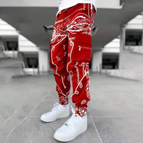 Mens Punk Cargo Pants Baggy Techwear Streetwear Paisley Hip Hop Loose Harem Jogger Pants Military Tactical Track Pant3