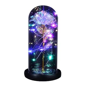 NociHah Galaxy Flower Rose Gift, Artificial Rose Flower LED Light String on Glass Colorful Flowers in Glass Dome with Black Gift Box for Wedding Birthday Valentine’s Day Christmas Anniversary